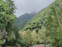 -西安祥峪森林公园