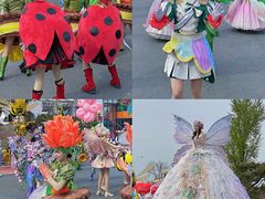 -荷兰花海