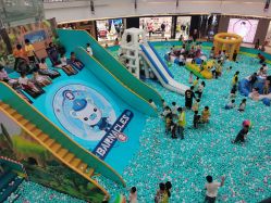 -海底小纵队(万达广场店)