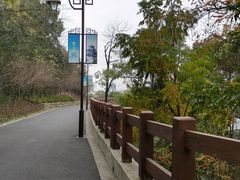 -杭州半山国家森林公园