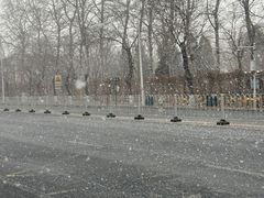 -桃花堤公园