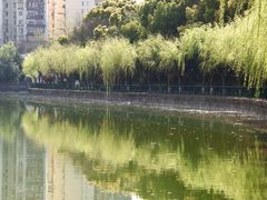-黄兴公园