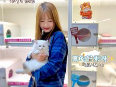 -lincat·猫舍(广州店)