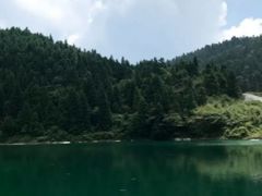 -武陵山森林公园