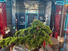 -屋有岛沉浸游戏旗舰店(中山公园店)