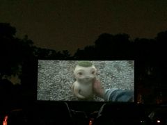 -枫花园汽车电影院(朝阳公园店)