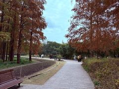 -上海海湾国家森林公园