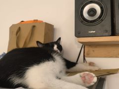 -原田新料理(1912店)