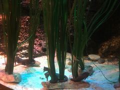 -沈阳海洋探索中心