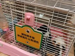 -姑苏二十四集(iD PARK 歌林公园店)