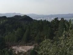 -磬锤峰森林公园