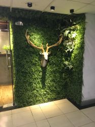 -V-STAR威斯达•高级私人定制