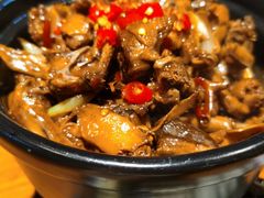 -小金鬼·煎饺·鸽子汤