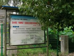 -荷塘月色湿地公园·向阳花洲