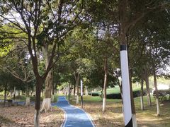 -四川大学(江安校区)