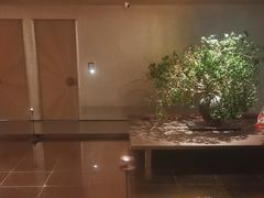 -隐溪茶馆(静安寺店)