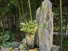 -上海醉白池公园