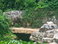 -北京颐和宾馆