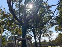 -上海山野camping·户外天幕烧烤·团建拓展营地
