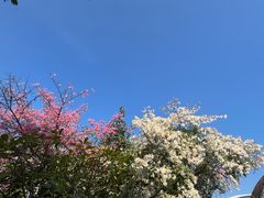 -映月湖公园