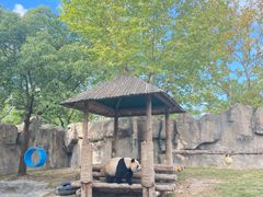 -上海野生动物园