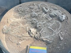 -房山世界地质公园博物馆