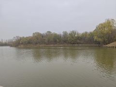 -塘沽森林公园