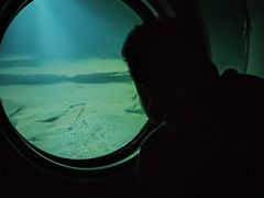 -白鹤梁水下博物馆