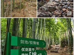 -莫干山风景区