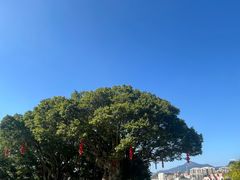 -船政文化景区-罗星塔公园