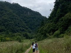 -秦岭风景区