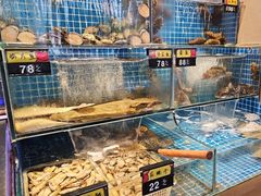 -张家小灶(东城店)
