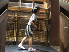 -猫的天空之城概念书店(杭州南宋御街店)