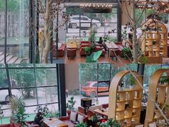 -桉树林A coffee 森林餐厅(三圣乡店)