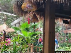 -南宫五洲植物乐园