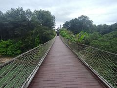 -铁山坪森林公园