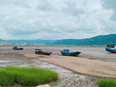 -北岐滩涂