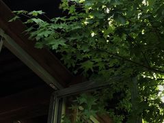 -VOYAGE COFFEE(杨梅竹店)