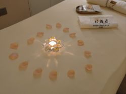 -LORI SPA洛丽汇 美肤抗衰SPA中心