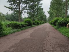 -白鹭湾湿地公园