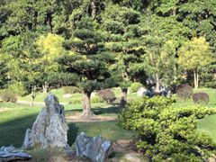 -深圳仙湖植物园