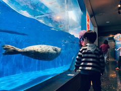 -成都浩海立方海洋公园