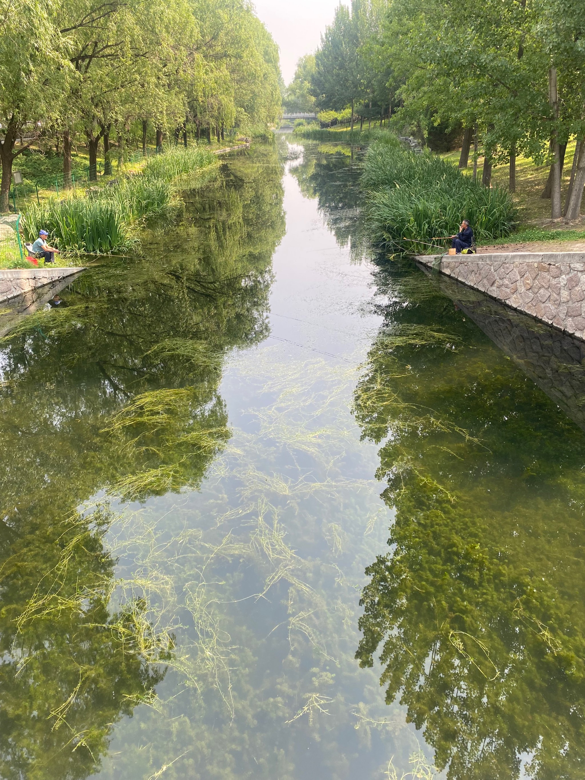 小河边的景色图片