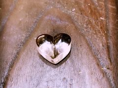 -Summer House夏莫手工坊团建活动(世博源店)