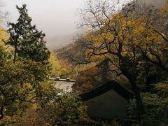 -北京鹫峰国家森林公园
