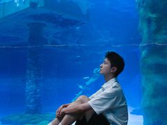 -香港海洋公园