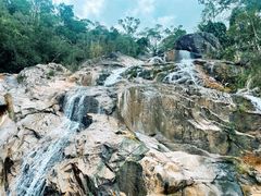 -海南霸王岭国家森林公园