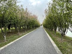 -苏州太湖国家湿地公园