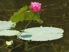 -天津东丽湖风景区