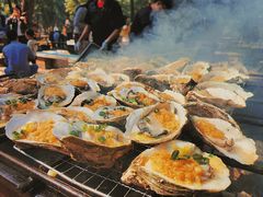 -南宁良凤江国家森林公园